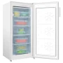 Amica FZ 206.3 AAE #1